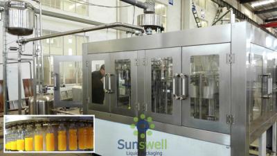 China Full Beverage processing machine Liquid Filler For Apple / Mango for sale