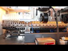 Full Automatic 12000BPH 1000ml Roatry Blow Molding Machinery