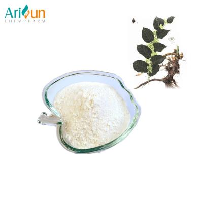 China Anti Aging Anti Cancer Polygonum Cuspidatum Extract Protecting Heart Circulatory System for sale