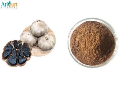 China Deep Brown Black Garlic Extract Powder 10:1 for Healthy Products for sale