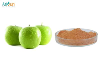 China Anti-Oxidant Apple Extract Apple Polyphenol for Cosmetic Products for sale