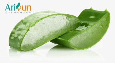 China Contribution Of Aloin Aloe Vera Extract To Human Medical Treatment for sale