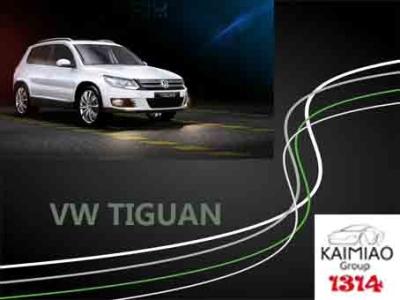 中国 VW TIGUANの理性的な電気側面ステップ、自動車のステップ板容易な取付け 販売のため