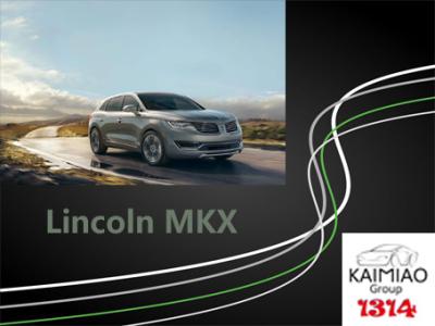 Chine Les pas de côté électriques de Lincoln MKX, véhicule électrique fait un pas pratique et durable élégants à vendre