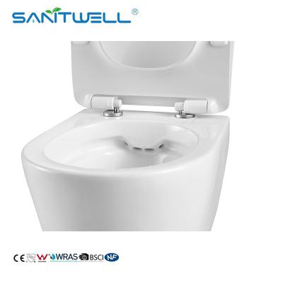 China Hot Selling SWA625 Luxury Sanitary Ware Product Washdown Rimless Flushing Wall Hung Toilets WC for sale