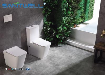 China High end European Standard Wall Faced Toilet Ceramic Two Piece 545*360*410mm for sale