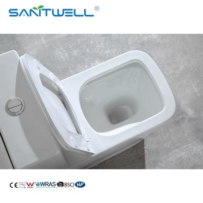 China Bathroom Toilet SWM9000 Chaozhou Popular Styles S trap Toilet 1 Piece for sale