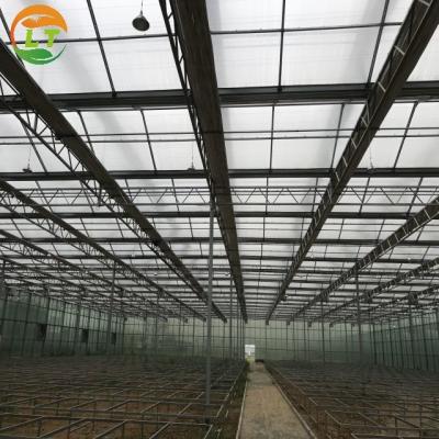 China Greenhouse Multi Span Agriculture Polycarbonate Greenhouse for Optimal Air Flow for sale