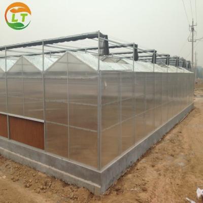 China 2021 Multi-Span Polycarbonate Invernadero Garden Greenhouse for Agriculture Industry for sale