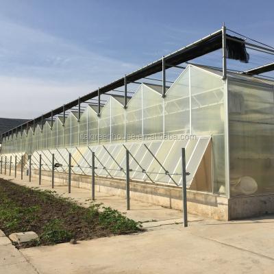 China 4m Section Polycarbonate Greenhouse for Vegetable Fruits and Flowers Commercial Grade for sale