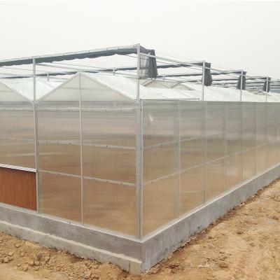 China Greenhouse Plastic Sheet/PC Sheet Greenhouse with Stable Structure and Vents for sale