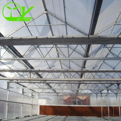 China Our Top-Notch Polycarbonate Greenhouse Single Layer 30-100m Length for sale