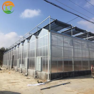 China Economical European Polycarbonate Greenhouse with Roof and Side Ventilation Panels for sale