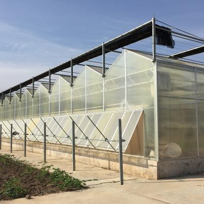 China Customizable Top Ventilation Side Ventilation Greenhouse Polycarbonate for Vegetable for sale