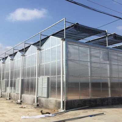 China Inside Outside Shading System Hot Galvanized Steel Frame Large Polycarbonate Greenhouse for sale