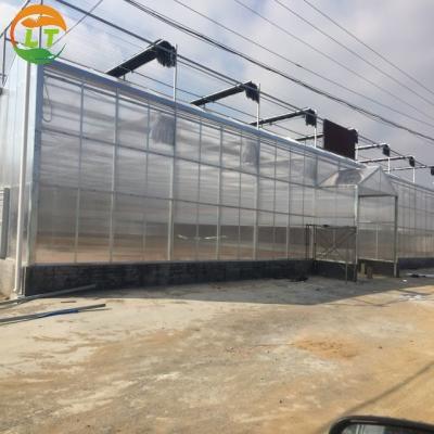 China Shading System Polycarbonate Greenhouse for Growing Vegetable Fruits and Flowers for sale