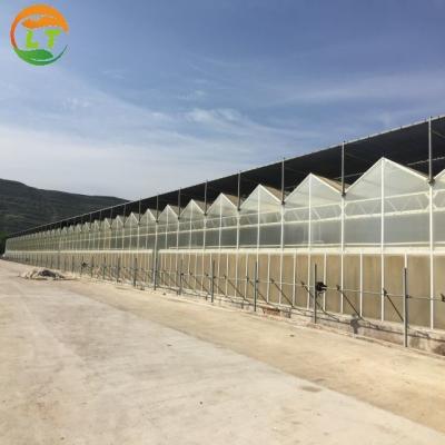 China American Tomato Agriculture Polycarbonate Greenhouse Equipped with Hydroponic Systems for sale