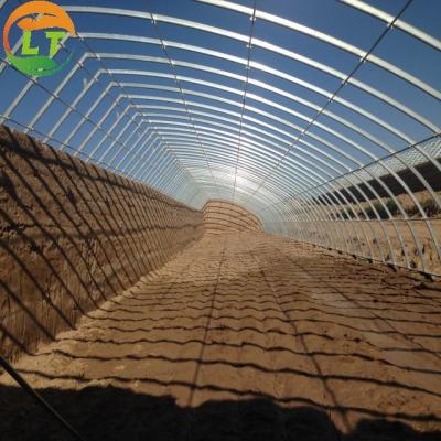 China Single Layer Agricultural Tomato Greenhouse Optimal Ventilation Guaranteed for sale