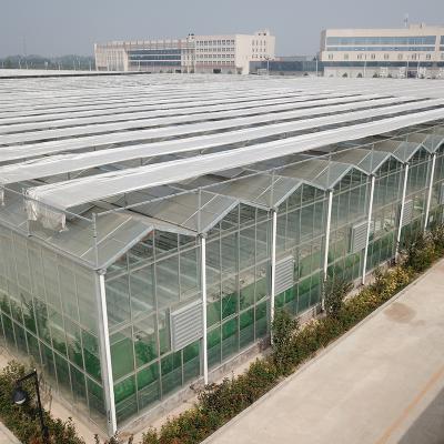 China Complete Multi-Span Agricultural Greenhouses Stable Structure for Quick Construction for sale