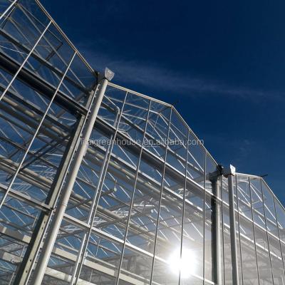 China 4.0m-6.0m Gutter Height Commercial Glass Greenhouse for Vegetable Flower for sale