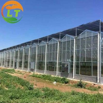 China Ventilation System Included Venlo Glass Greenhouse with Galvanized Pipe Steel Structure for sale
