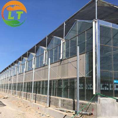 China Smart Controlled Safe Glass Greenhouse for Vegetable Fruits Flowers Top Height 4.8m-6.8m for sale