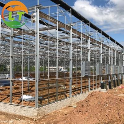 China Glass Covered Cooling Pad Fan System Greenhouse for Large Agricultural Strawberry Farming for sale