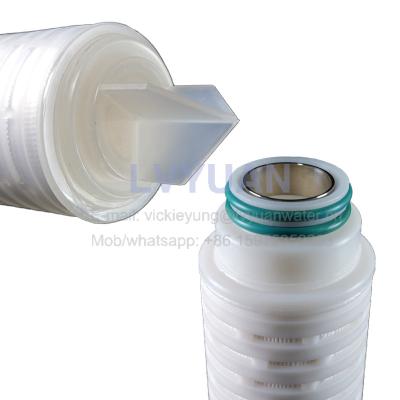 China 0.45 Micron PP Pleated Filter for sale