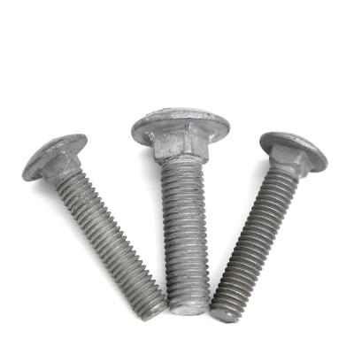 China Grade 10.9 Hot Dipped Galvanized Carriage Bolt M10 for sale