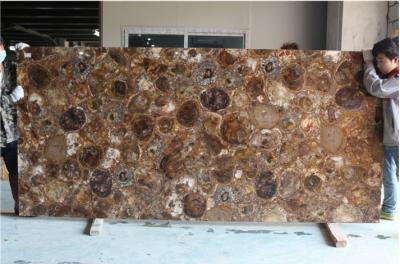 China 20mm Thickness Natural Fossil Petrified Wood Slab for sale