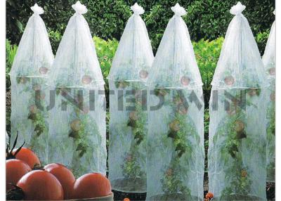 China la tela no tejida ULTRAVIOLETA anti de los materiales de 20g/㎡ PP Spunbond utiliza para los productos agrícolas en venta