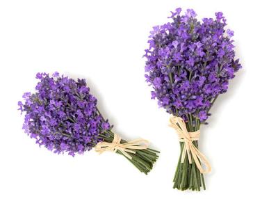 China 50cm 60cm Preserved Fresh Flower Dry Lavender Bunches OEM for sale