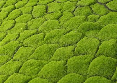 China High Simulation Silk PE Artificial Moss Mat Panels 40*60cm for sale
