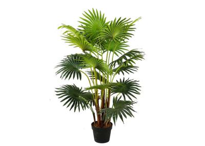 China Entrance Hall Silk Plastic PE Indoor Artificial Palm Trees for sale