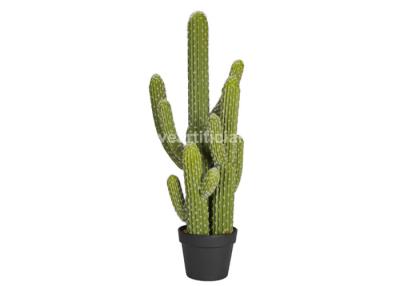 China Eco-Friendly Plastic PE Faux Ever Greenery Fake Cactus Plant OEM ODM for sale