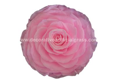China A categoria real de 100% A preservou Rose Flower For Wedding Decoration duradouro à venda