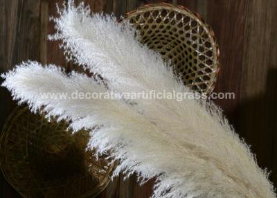 China Eco-Friendly Preserved Fresh Flowers Silk Pampas Grass Wedding Bouquet for sale