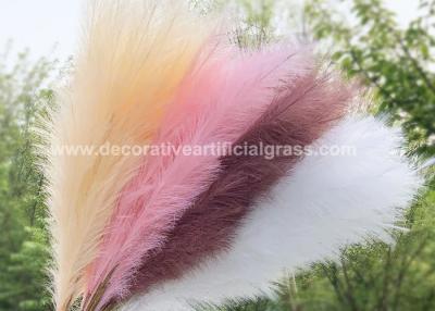 China Natural Pampas Grass Decor Preserved Fresh Flowers For Dropshipping for sale