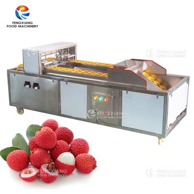 China Industrial Pitter Fresh Lychee Core Remover Coring Machine Litchi Pitting Machine for sale