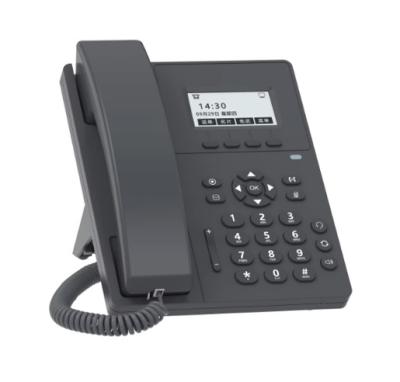 China Basic IP Phone with 2 SIP accounts, black & white screen for sale