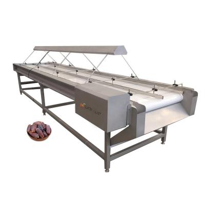 China Plum Nuts Palm Dates Inspection Conveyor Made of 304 Stainless Steel for Your Benefit for sale