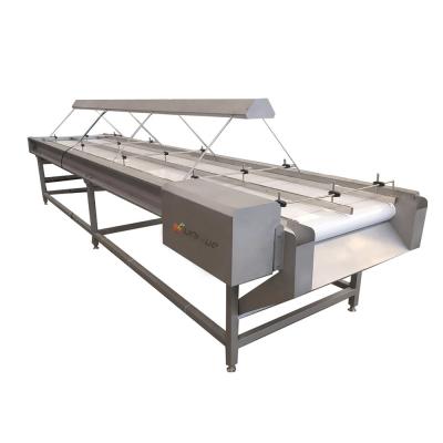 China 2021 Vegetable and Fruit Selecting Conveyor Sorting Conveyor with Lamp Light for sale