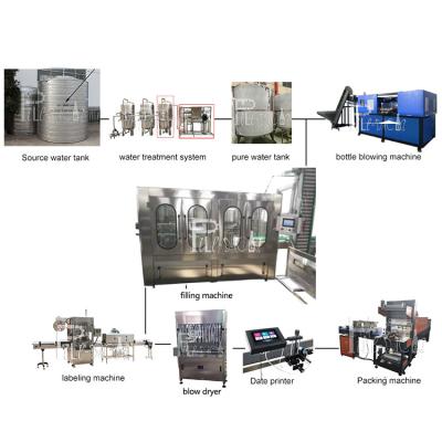 China Plastic Bottle Mineral Water Production Line 6000BPH 18-18-6 Rinsing Filling Capping for sale