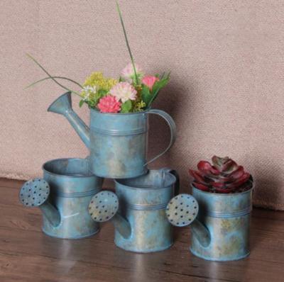 China Creative Iron Watering Pot Garden Decoration for sale