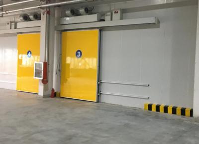 China 1000 X 1900mm Warehouse Freezing Equipment Chiller Room Doors Auto Coolroom Sliding Door for sale