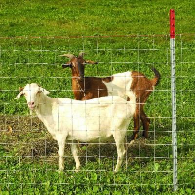 China 1.5mm Galvanized Wire Farm Fence Gate 4 Ft Livestock Gate for sale