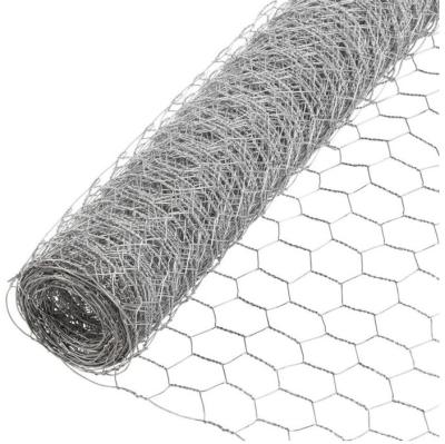 China TLWY Hexagonal Wire Mesh 13mm 16mm Chicken Wire Lowes for sale