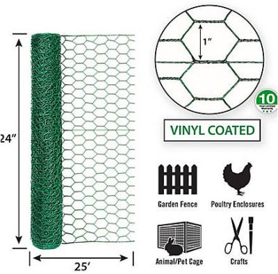 China Width 0.5M-2.0M Galvanized Chicken Wire Mesh Roll Hot Dipped Galvanized for sale