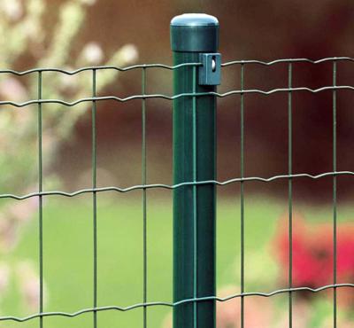 China hot selling product cheaper Holland Welded Wire Mesh Fence /Euro fence for sale