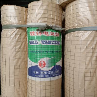 China Iron Hot Dipped Galvanised Welded Wire Mesh Roll 14mm for sale
